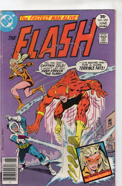 Flash #250 Captain Cold and First Appearance Of Golden Glider! Bronze Age VG+
