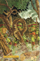 Teenage Mutant Ninja Turtles #37 VFNM