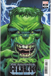 Immortal Hulk #25 Variant Edition VF