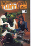 Teenage Mutant Ninja Turtles #2 FN