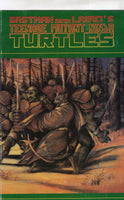 Teenage Mutant Ninja Turtles #31 FN
