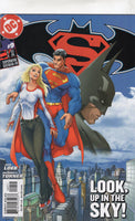 Superman / Batman #9 "Look, Up In The Sky!" Turner Art FVF