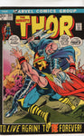 Thor #201 To Die Forever! Bronze Age Classic FN