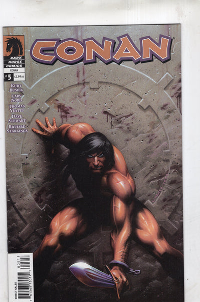 Conan #5 Linsner Cover Art Dark Horse VFNM