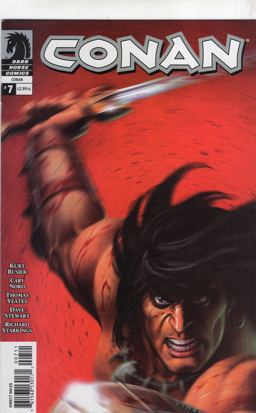 Conan #7 Linsner Cover Art Dark Horse VF