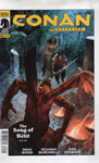 Conan The Barbarian #22 The Song Of Belit Dark Horse VFNM