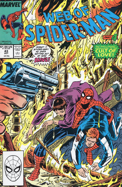 Web of Spider-Man #43 VFNM