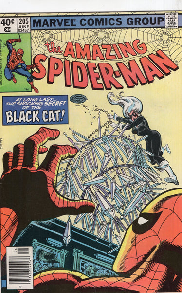 Amazing Spider-Man #205 "The Shocking Secret Of The Black Cat!" HTF News Stand Variant FVF