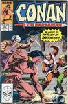 Conan The Barbarian #225 VF