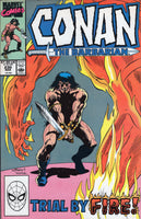Conan the Barbarian #230 VF