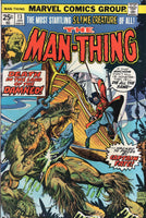Man-Thing #13 Death In The Land Of The Damned! Buscema/Sutton Art Bronze Age Horror FN