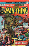 Man -Thing #14 The Tower At The End Of Time! Alcala Art!! Bronze Art Horror FN