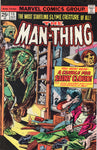 Man-Thing #15 A Candle For Saint Cloud! Bronze Age Horror VGFN