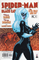 Spider-Man & The Black Cat #2 The Evil That Men Do VFNM