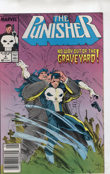 Punisher #8 "No Way Out Of The Graveyard!" News Stand Variant FVF