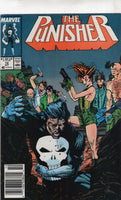 Punisher #12 "Castle Technique" News Stand Variant VGFN