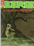 Eerie #25 The Thing In The Cave! Steranko Cover!! HTF Silver Age Horror Magazine VGFN