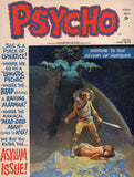 Psycho #12 HTF Skywald Magazine Bronze Age Horror VG-