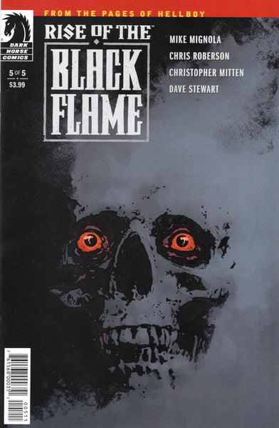Rise Of the Black Flame #5 Dark Horse Hellboy VF