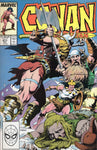 Conan The Barbarian #211 VFNM