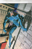 The Tick #5 FN