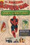 Amazing Spider-Man #19 Spidey Strikes Back Ditko Silver Age Key VG
