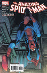 Amazing Spider-Man #505 VF