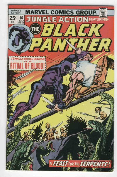 Jungle Action #16 Black Panther Ritual Of Blood Billy Graham Art Bronze Age Classic FVF
