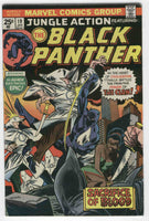 Jungle Action #19 The Black Panther Vs. The Klan Billy Graham Bronze Age Key FVF