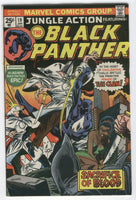 Jungle Action #19 The Black Panther Vs. The Klan Billy Graham Bronze Age Key FVF