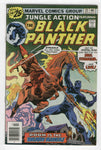 Jungle Action #22 The Black Panther Vs. The Klan Billy Graham art Bronze Age Key FVF