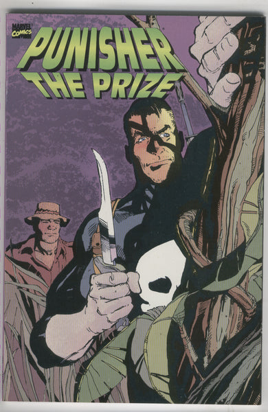 Punisher The Prize Graphic Novel VF