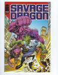 Savage Dragon #214 HTF Low Print Run NM