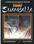 Marvel Graphic Novel Doctor Strange Into Shamballa HTF FN