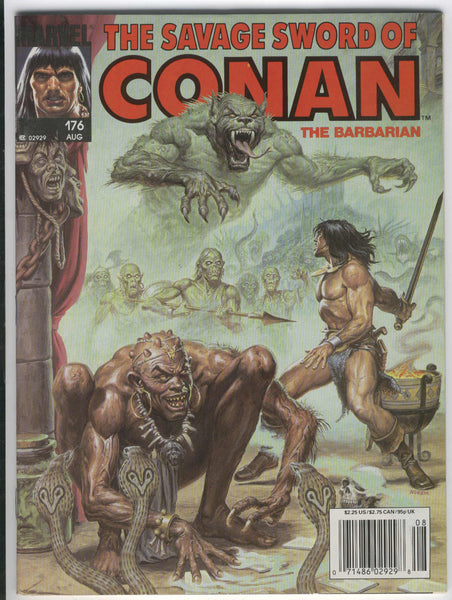 Savage Sword of Conan #176 FVF