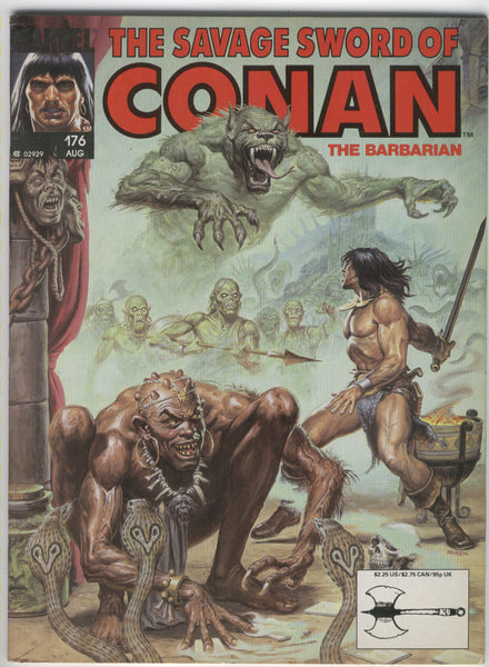 Savage Sword Of Conan #176 The Three Death Of Conan! (doesn't sound good) Norem Cover FVF