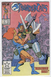 Thundercats #12 Berserker Rage!  HTF VG