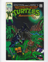 Teenage Mutant Ninja Turtles Adventures #15 Archie Series FVF