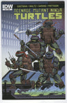 Teenage Mutant Ninja Turtles #51 VFNM