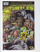 Teenage Mutant Ninja Turtles #53 IDW NM