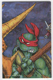 Teenage Mutant Ninja Turtles #6 1986 Original Mirage Series Eastman Laird FN