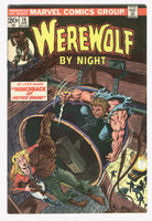 Werewolf By Night #16 The Hunchback Of Notre Dame Ploog Art Bronze Age Horror Classic FN
